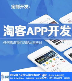 開封淘客軟件與花卷云 計算機系統集成服務的成本解析